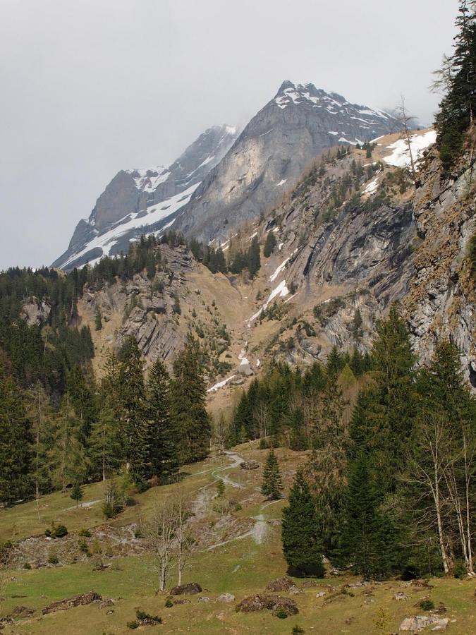 Riversong Centre Thermal Les Plans-sur-Bex Eksteriør bilde