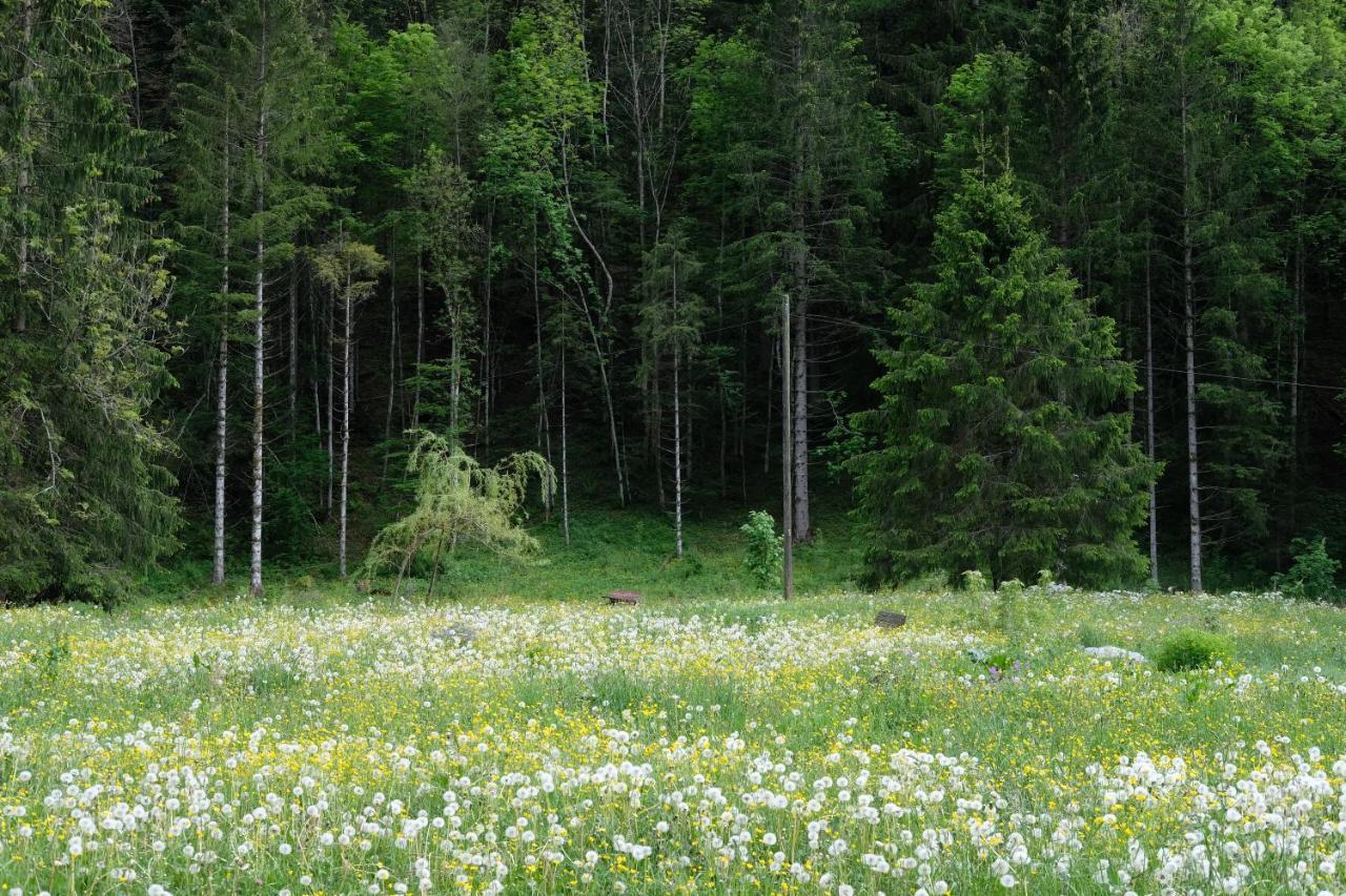 Riversong Centre Thermal Les Plans-sur-Bex Eksteriør bilde